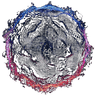 Luxor Intelligence Logo